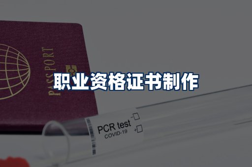 职业资格展示